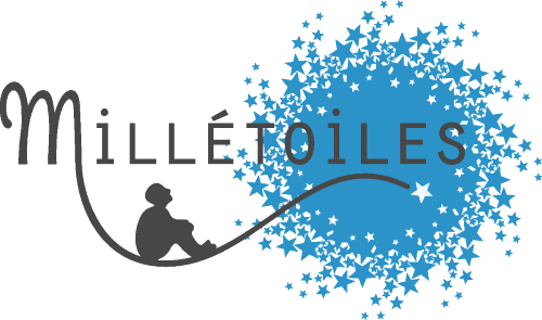 Logo Millétoiles conseil